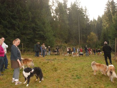 DSC 4072