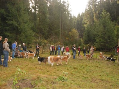 DSC 4074