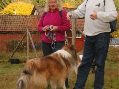 Jacko DSC 4066