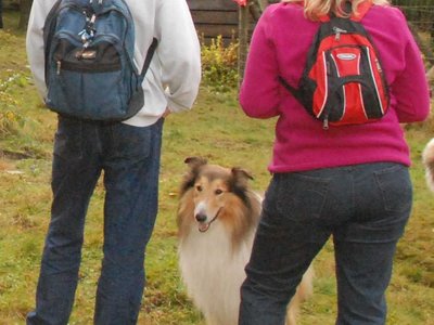 Jacko DSC 4067