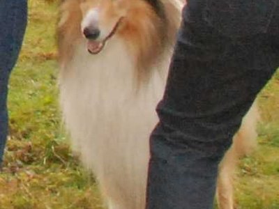 Jacko DSC 4067a