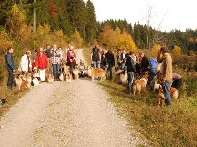 DSC 4301