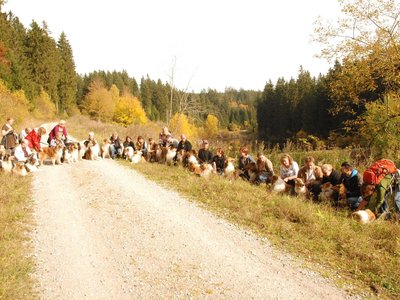 DSC 4324