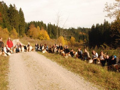 DSC 4327