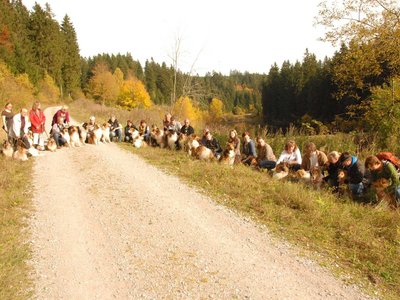 DSC 4331