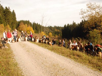 DSC 4337
