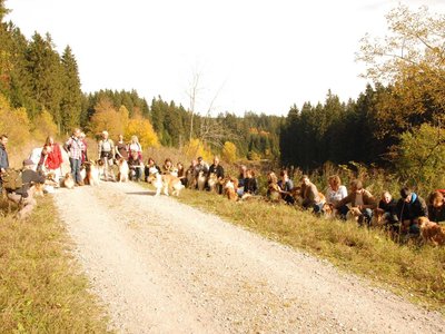 DSC 4338