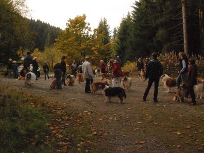 DSC 4109