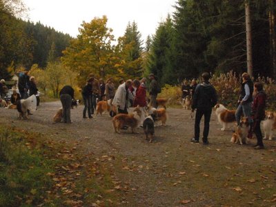 DSC 4110