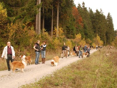 DSC 4286
