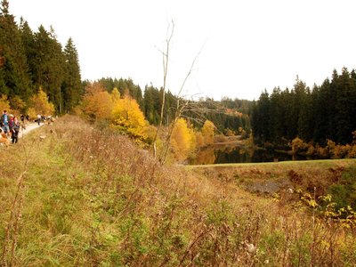 DSC 4287