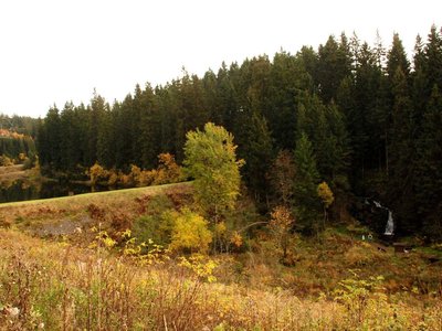 DSC 4288