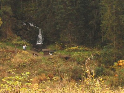 DSC 4289