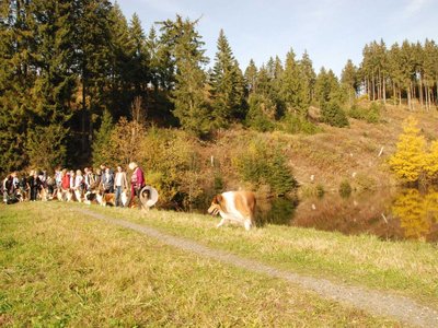 DSC 4360
