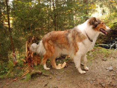 Hasel DSC 4164