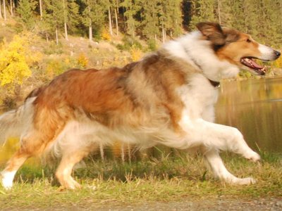 Hasel DSC 4398