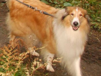 Ian DSC 4119