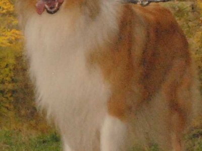 Ian DSC 4255a