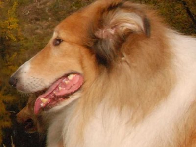Ian DSC 4257a