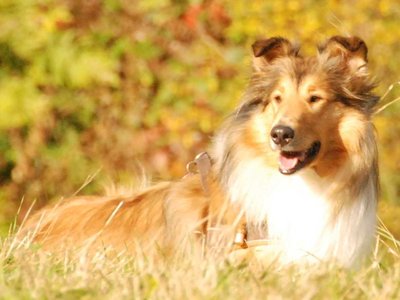 Lilian DSC 4395