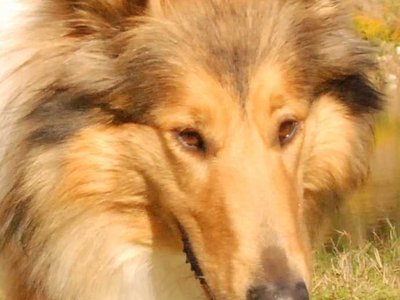 Lilian DSC 4406