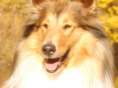 Lilian DSC 4410