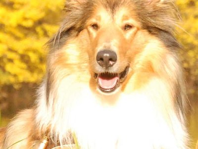 Lilian DSC 4414