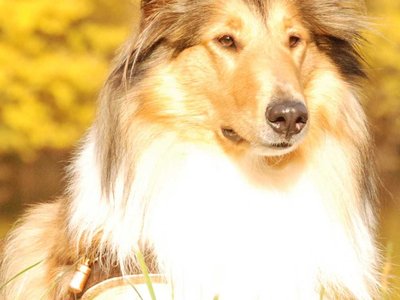 Lilian DSC 4415