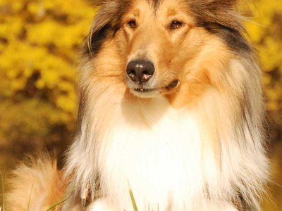 Lilian DSC 4418