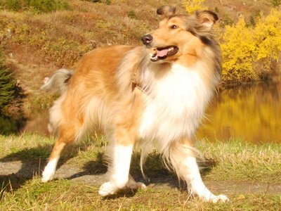 Lilian DSC 4422