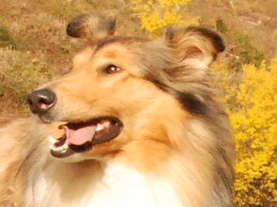 Lilian DSC 4422a