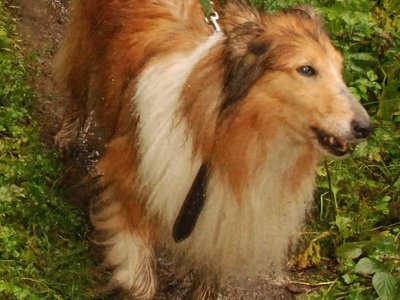 Arabelle DSC 3170a