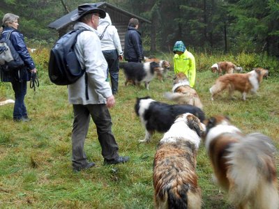 Hasel Fox Lions Treffen 2013 18