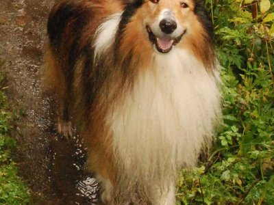 Jacko DSC 3161a