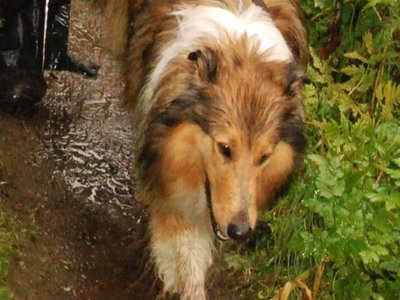 Lilian DSC 3168a