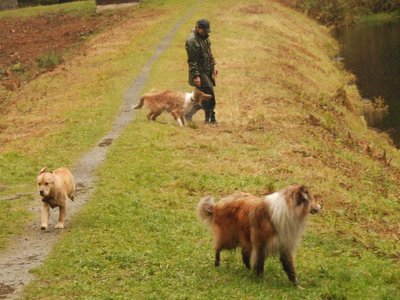 Olivia DSC 3281