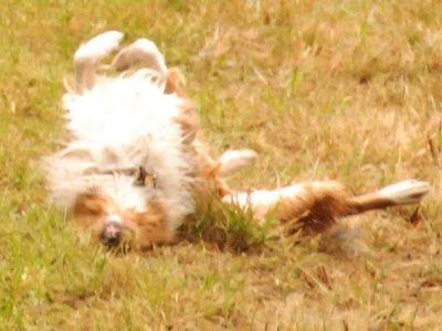 Olivia DSC 3298