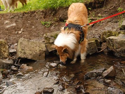 DSC 8490