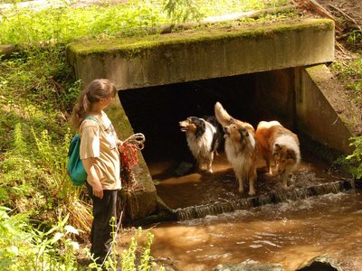 DSC 8543