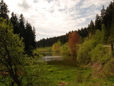 DSC 8553
