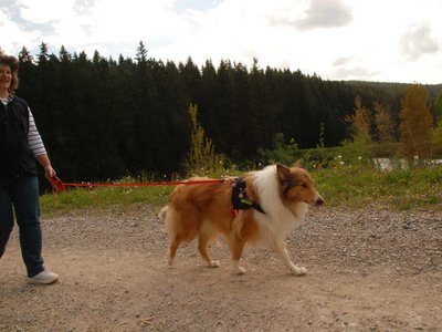 DSC 8565