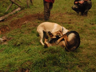 DSC 2832