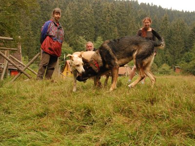 DSC 2837