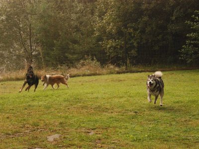 DSC 3067