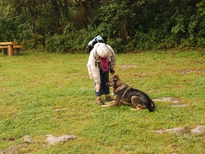 DSC 3072