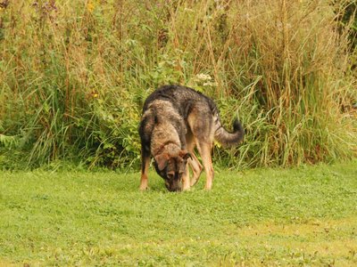 DSC 3077