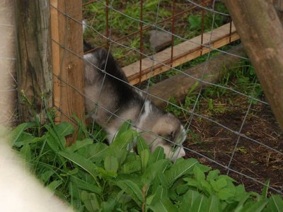 DSC 8788