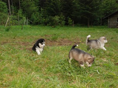 DSC 8812