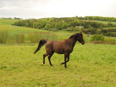 DSC 7933
