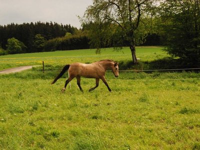 DSC 8030